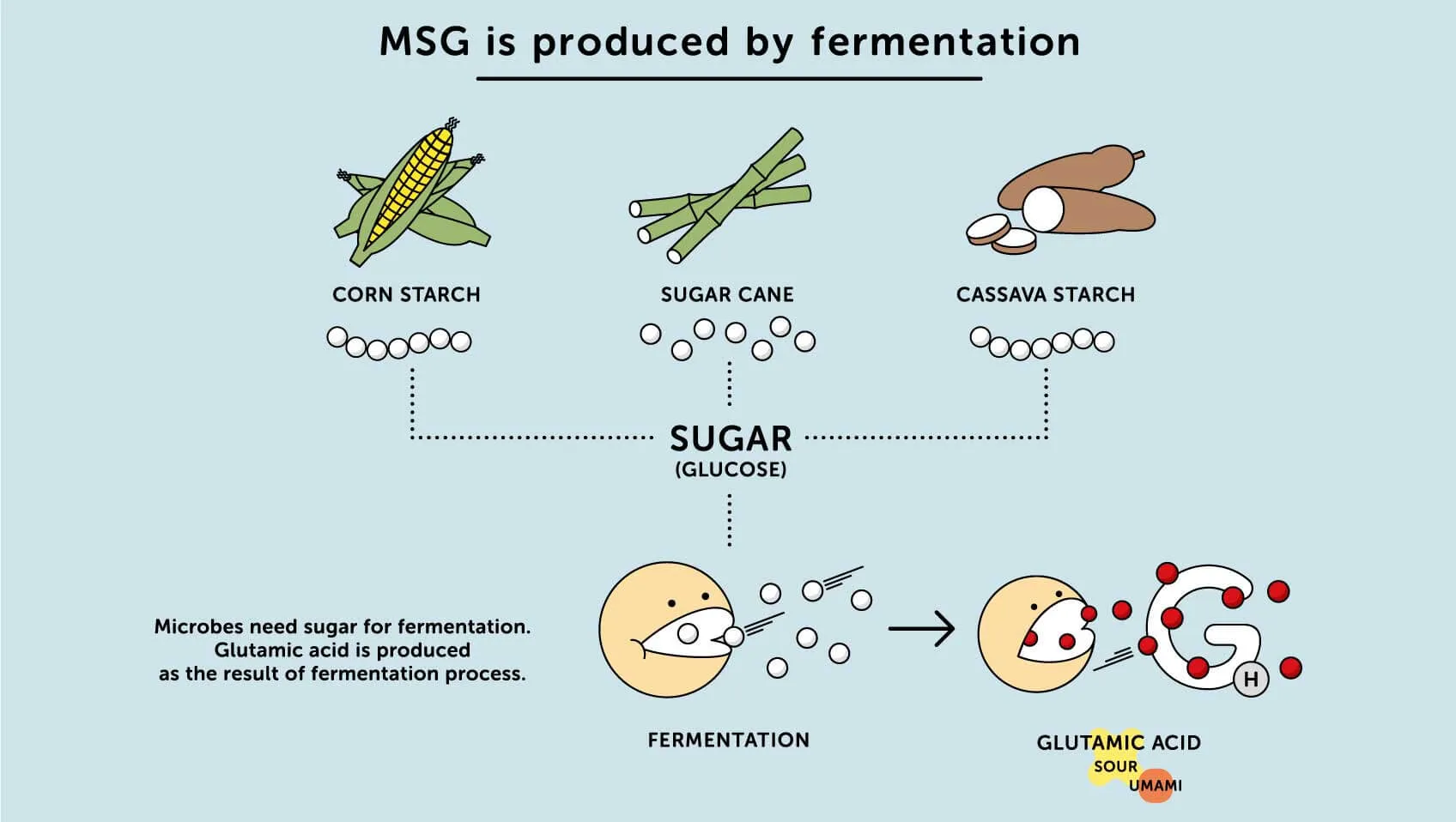 msg 란_5