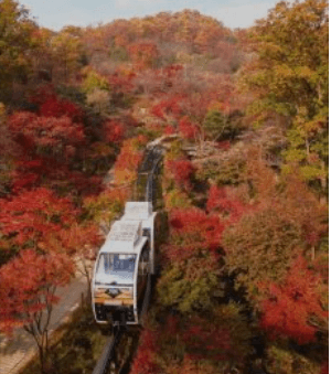 화담숲 예약하기