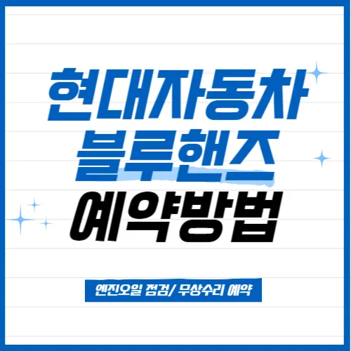 현대 블루핸즈 예약방법