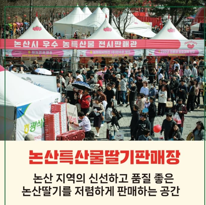 논산딸기축제 2025 ❘ 달콤한 봄을 맛보는 특별한 경험