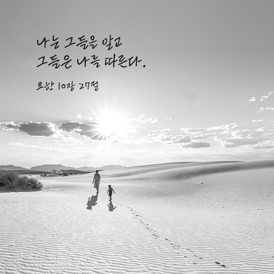 나는 그들을 알고 그들은 나를 따른다. (요한 10&#44;27)