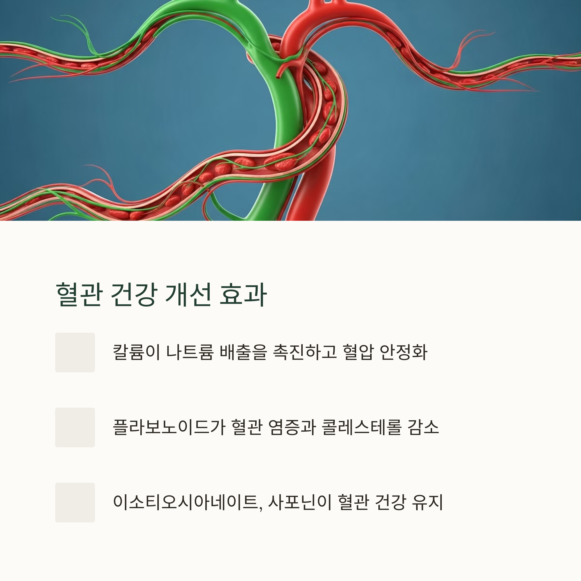 혈관 건강 개선 효과
