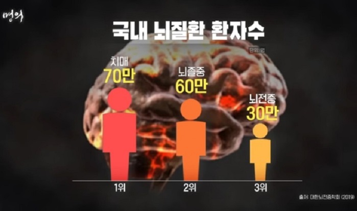 국내-뇌질환-환자수