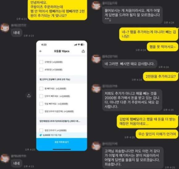 한 김밥 가게에서 재료를 빼달라는 고객 요청에도 추가 요금을 받아 논란이 일고 있다. 사진은 고객 A씨와 문제의 김밥 가게 사장 B씨가 나눈 메신저 대화 내용. [사진=엑스 캡처]