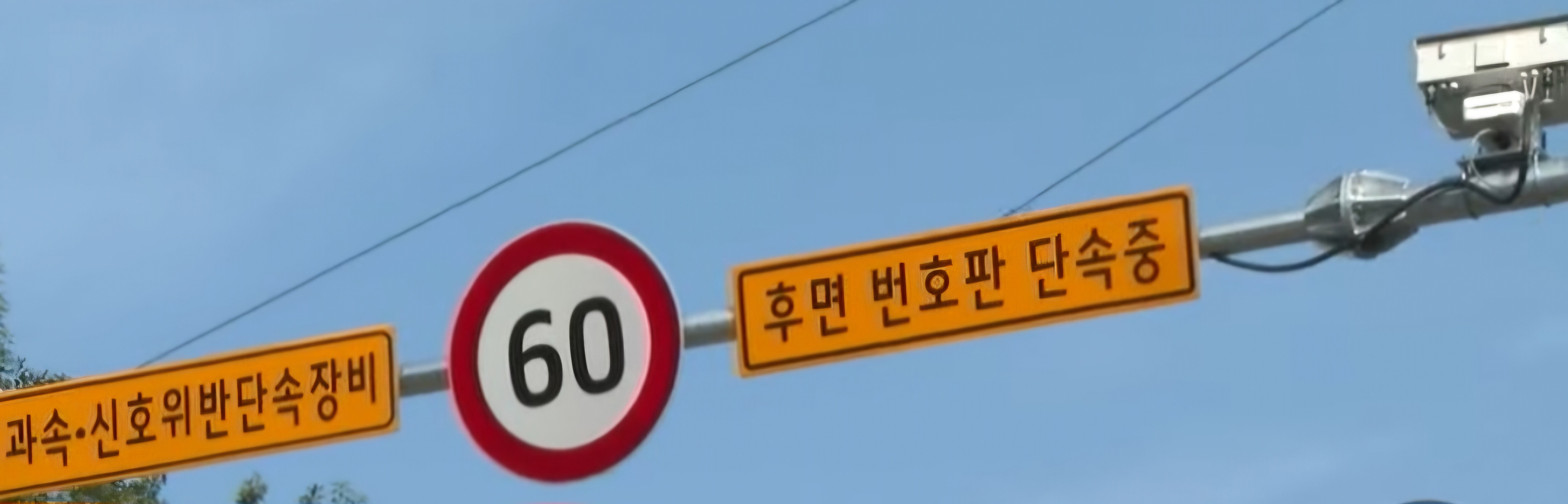 대구, 후면단속카메라 정상운영 정보