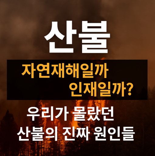 산불관련 이미지
