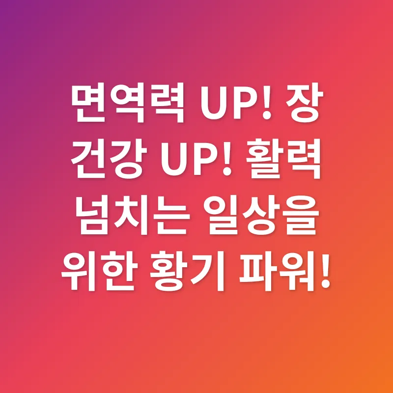 황기 효능_2
