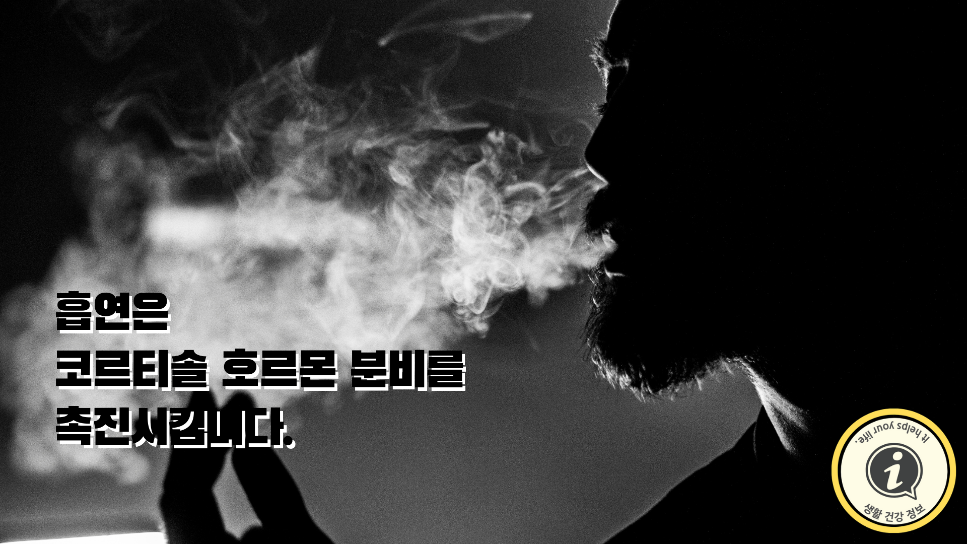 흡연은 코르티솔 호르몬 분비를 촉진시킵니다.