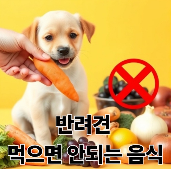 반려견 주의음식