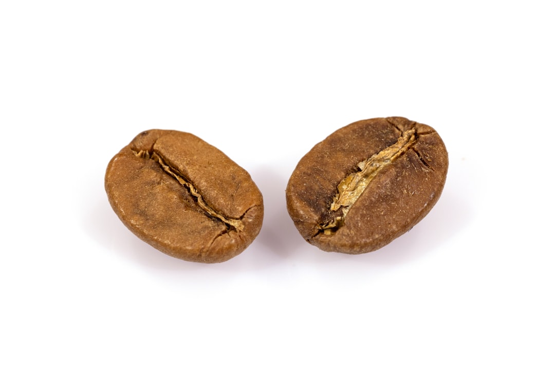 Seed