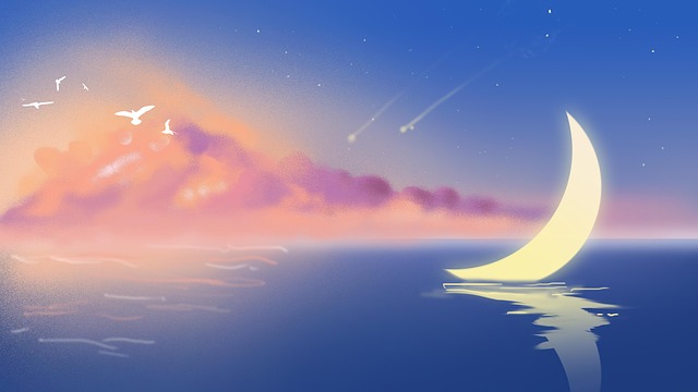 똥이 발에 묻는 꿈 해몽(똥꿈해몽풀이&amp;#44; 무료꿈해몽풀이)