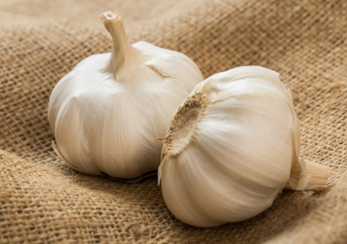 폐건강에 좋은음식