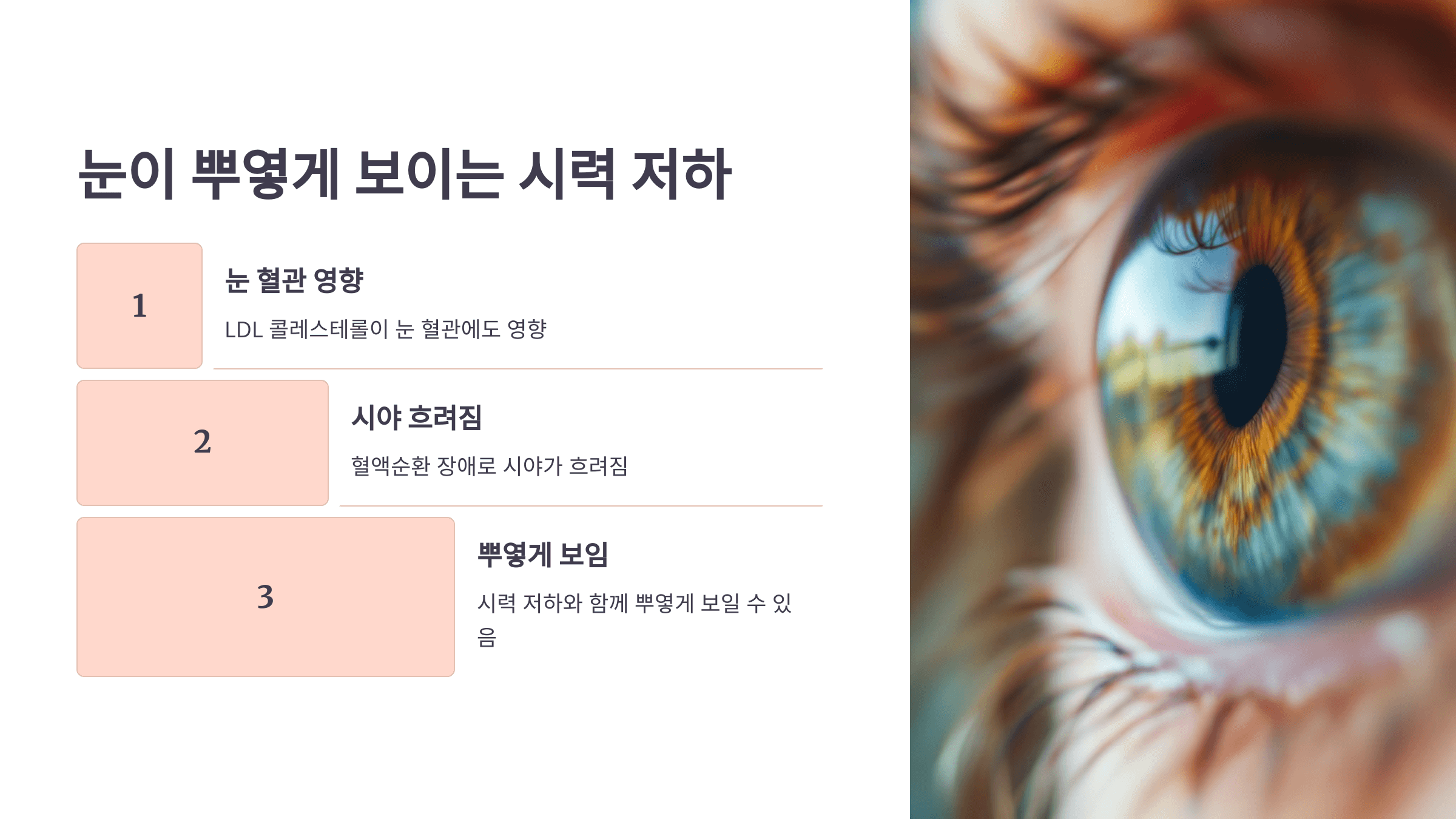 콜레스테롤과 관련된 사진입니다.