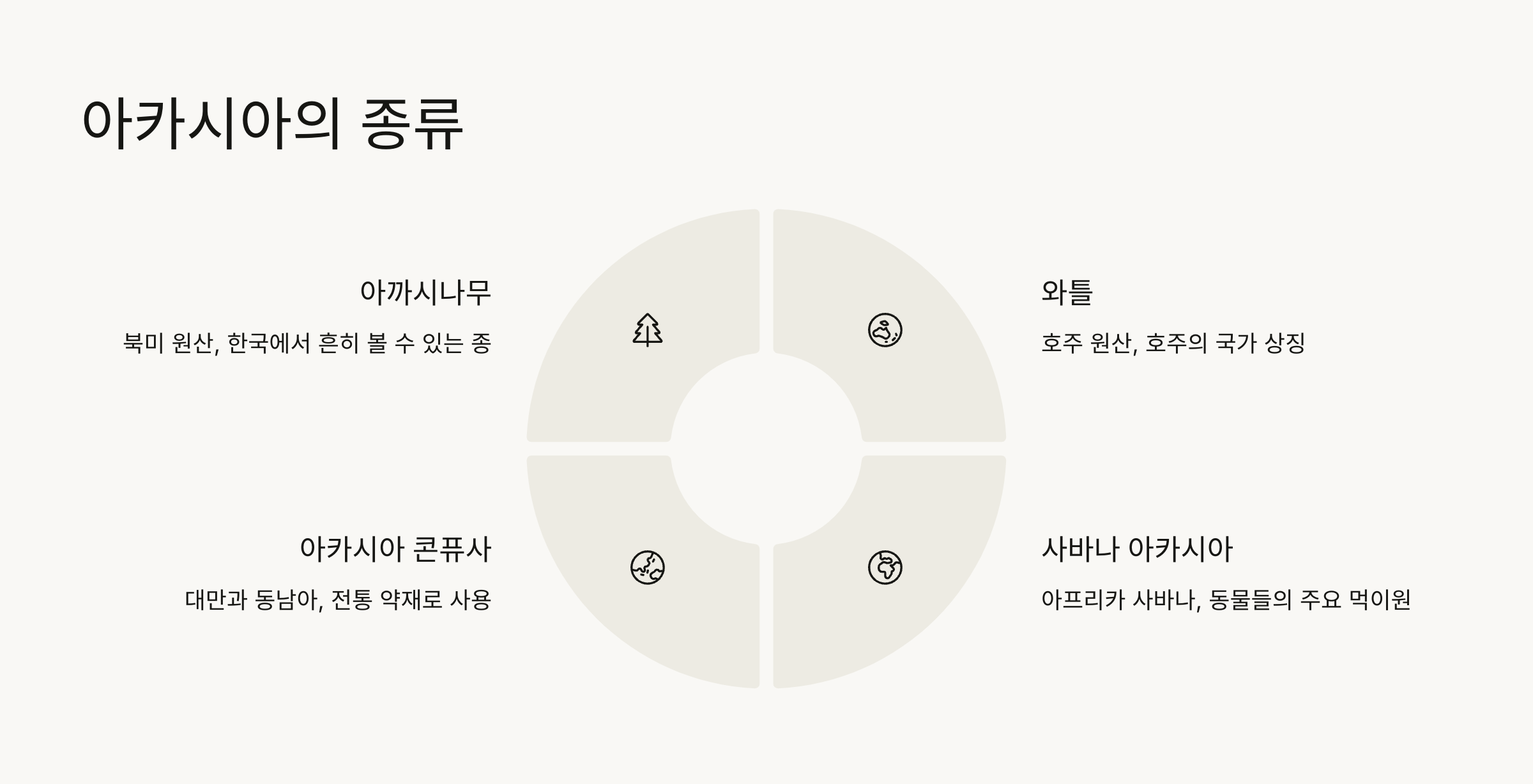 아카시아 꽃