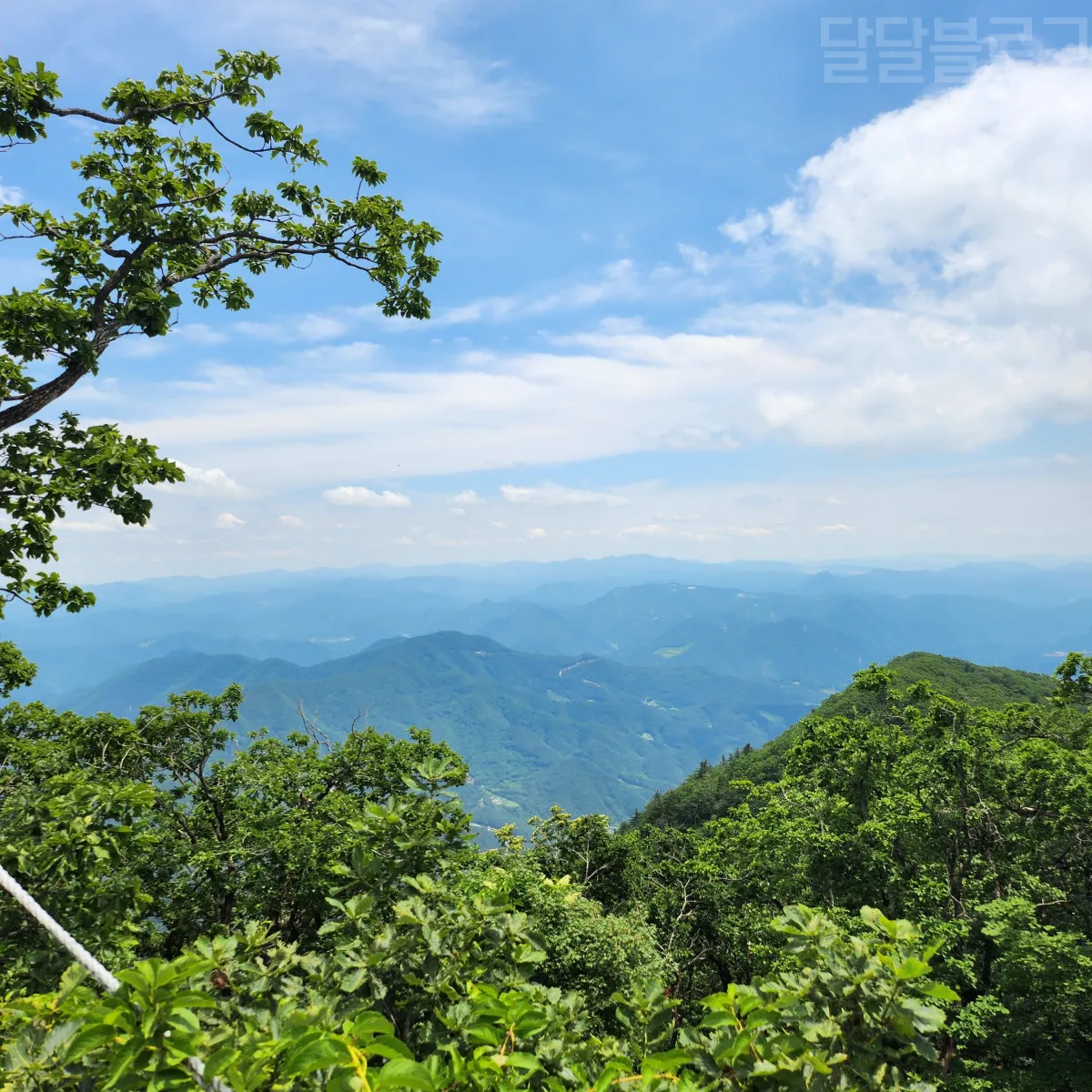 정선-파크로쉬-케이블카-정상