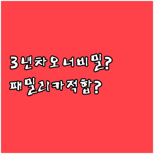 3년차 오너가 말하는 테슬라 모델Y ..