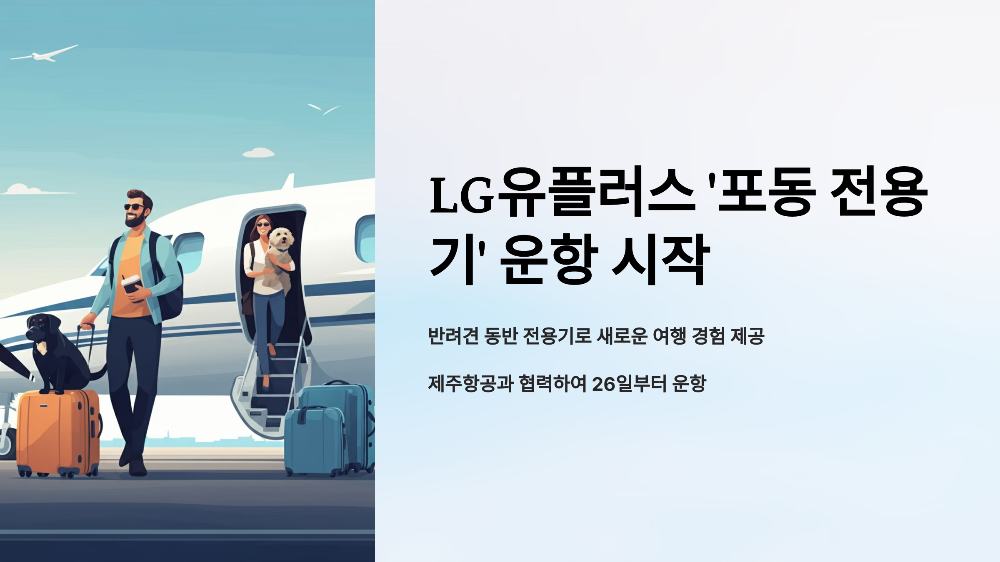 포동 전용기 운행