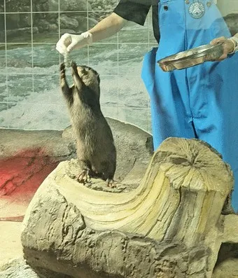 무주 디지털 관광주민증 혜택 사용법 발급 방법_21