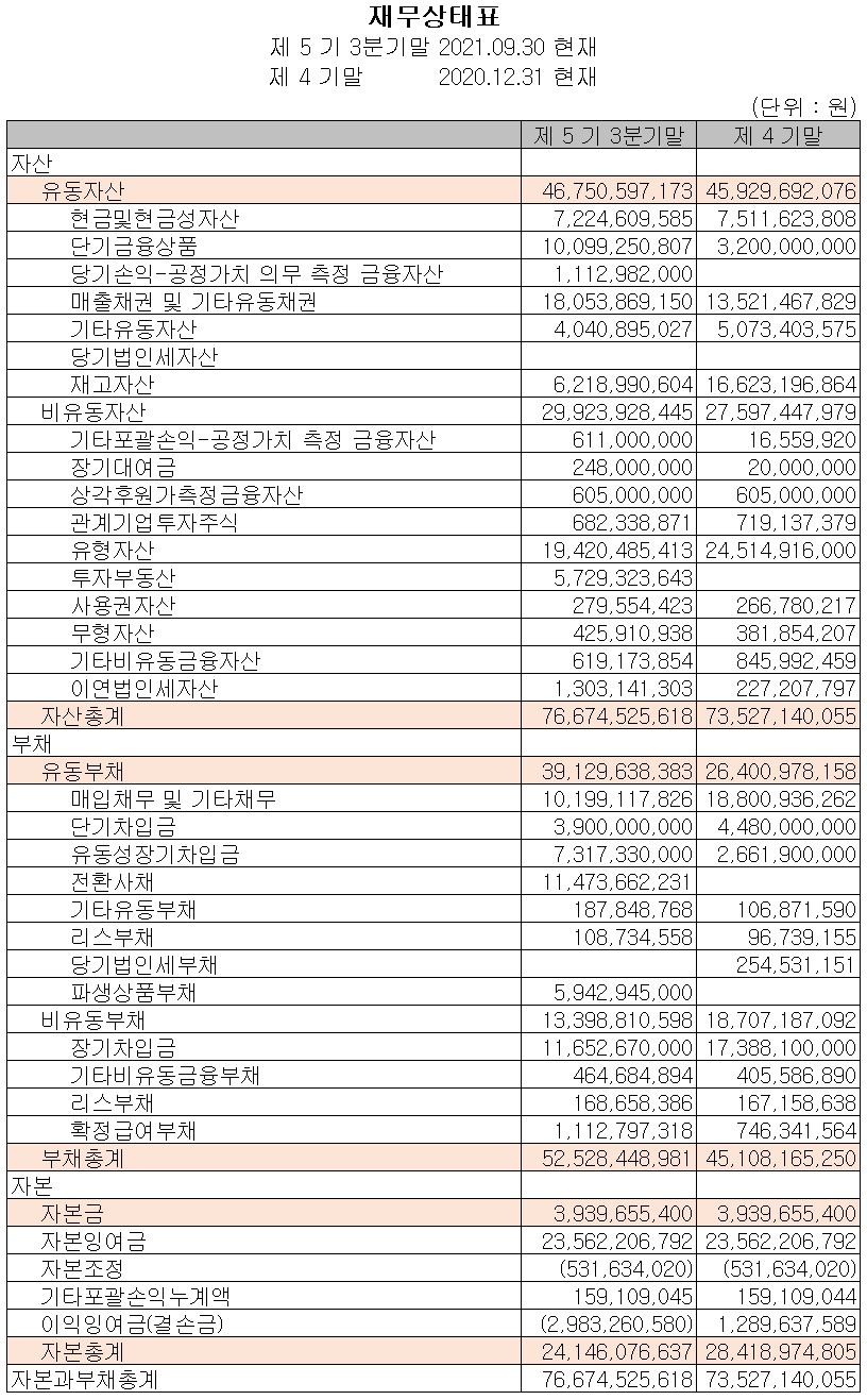 (주)나인테크 재무상태표