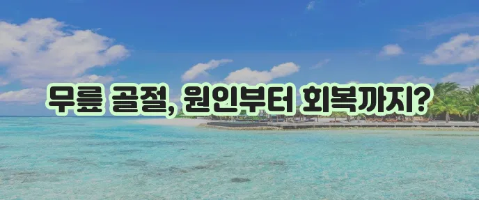 슬개골 골절 원인 증상 수술 치료기간이 중요합니다