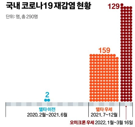 코로나 재감염