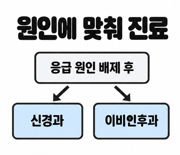 응급 원인 배제 후라는 상자에서 신경과와 이비인후과 두 진료과로 화살표가 갈라지는 그림
