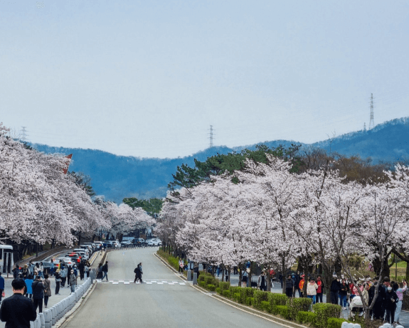 서울대공원