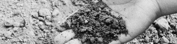 식물, 동물 기름을 짜고 남은 찌꺼기로 만든 비료