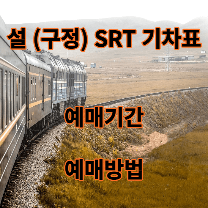 설(구정)SRT기차표 예매