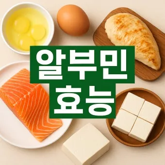 알부민 영양제 효능 알아보기 복용법 부작용_14