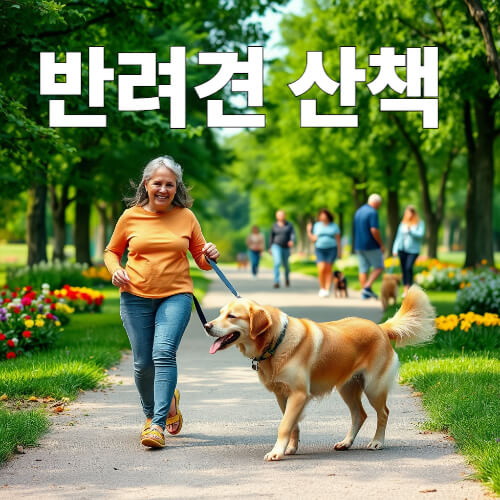 반려견 산책
