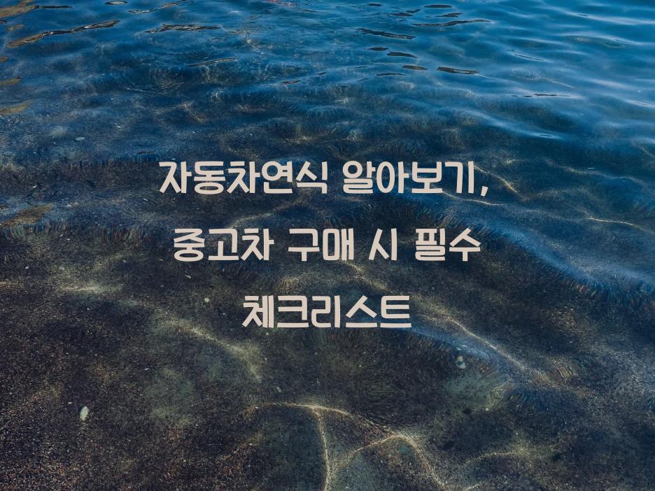 자동차연식