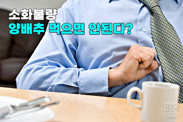 위에좋은음식 양배추 먹으면 안되는 사람 양배추먹는법 양배추 생으로 먹으면