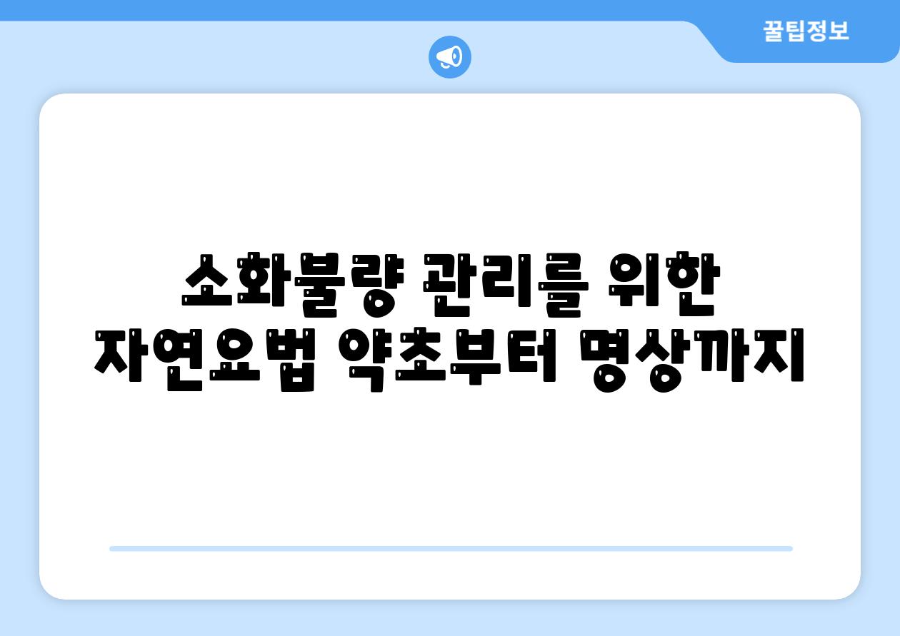 소화불량 관리를 위한 자연요법 약초부터 명상까지