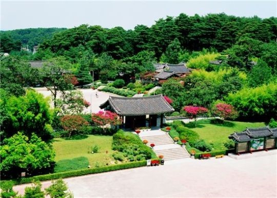강릉 단풍여행