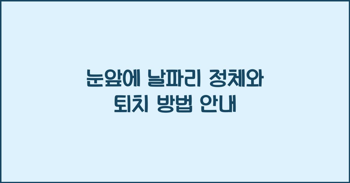 눈앞에 날파리