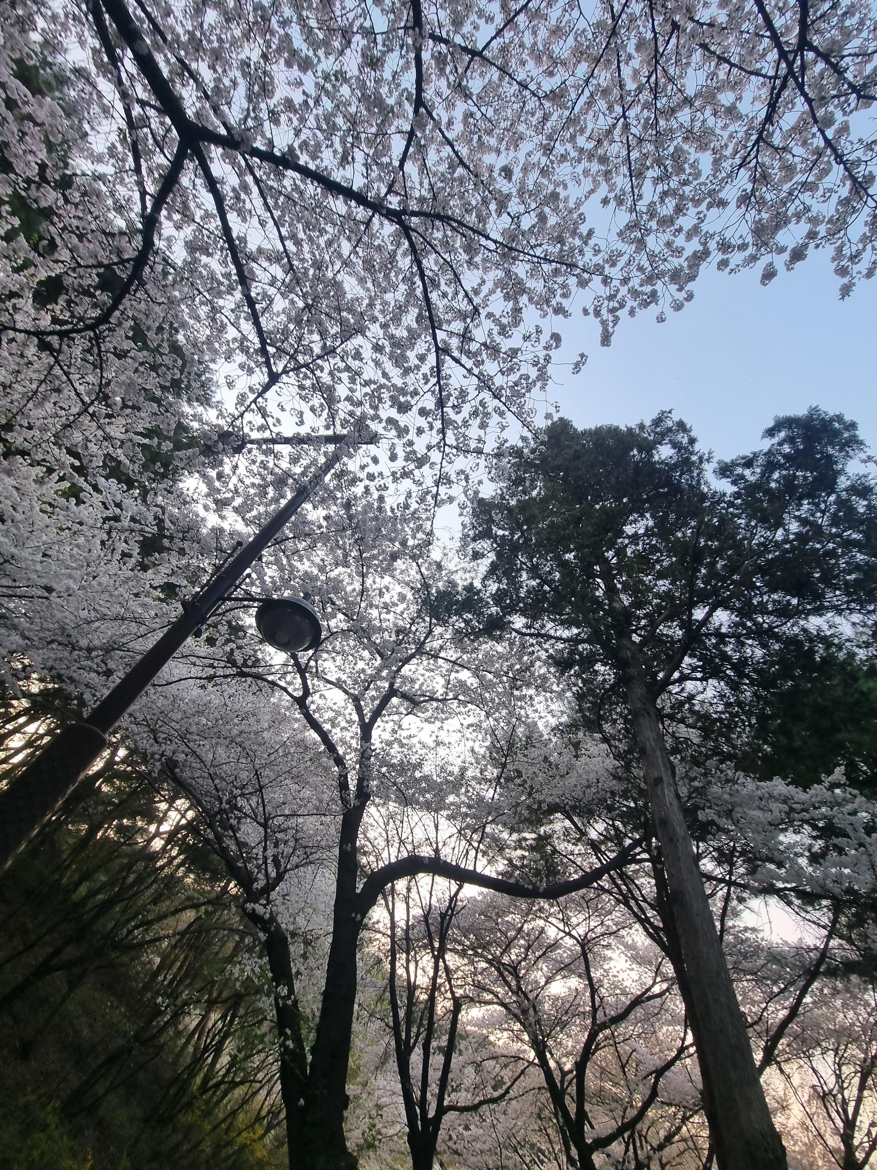 수원에 가볼만한 곳