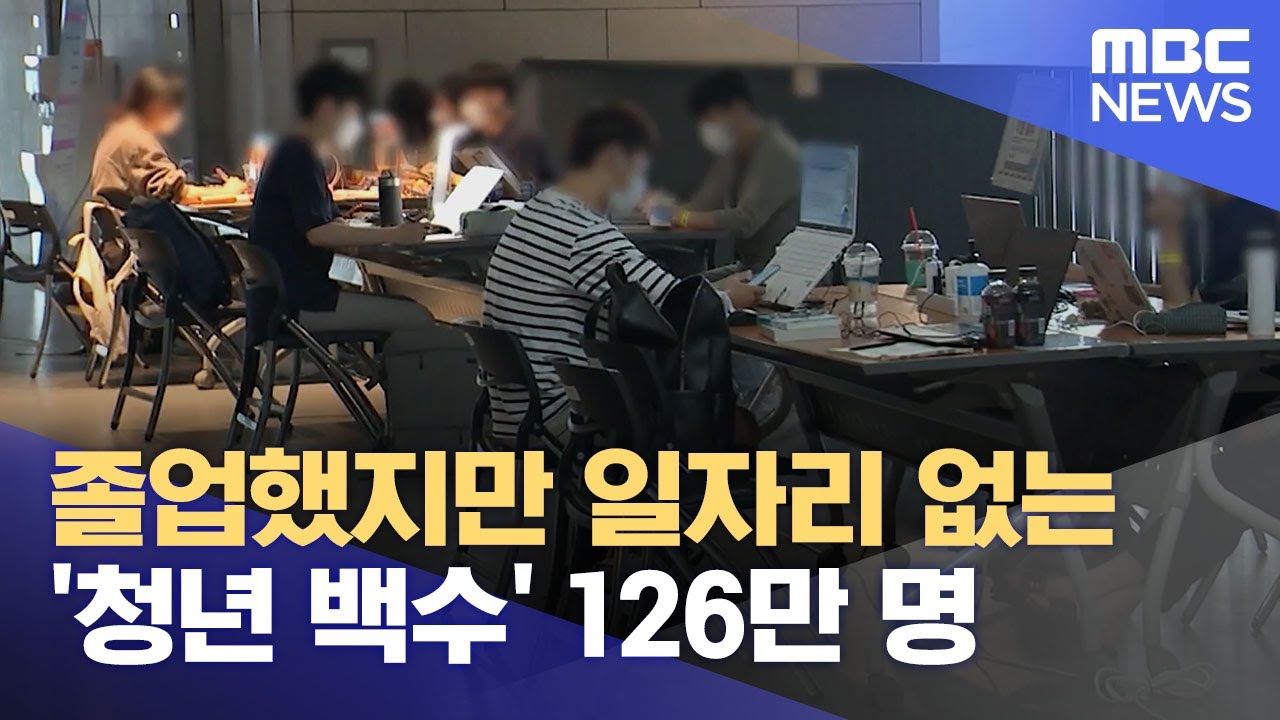 2. [2025 청년 일자리] 현실과 생존 전략 (경력직, 박사백수, 쉬는청년)