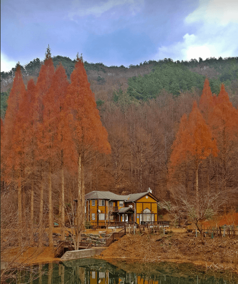 온빛자연휴양림