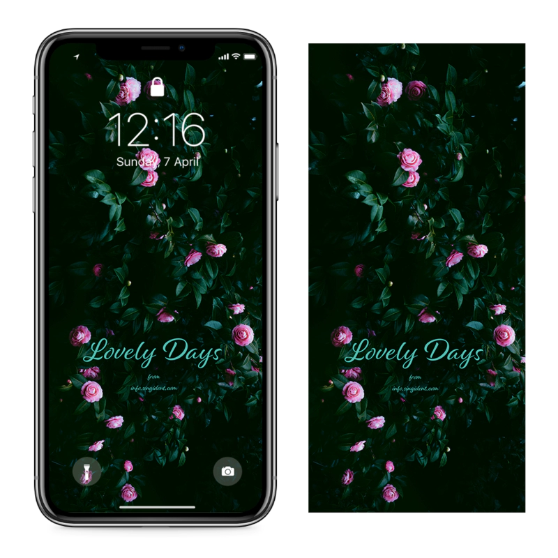 08 동백꽃나무 C - Lovely Days 아이폰꽃배경화면