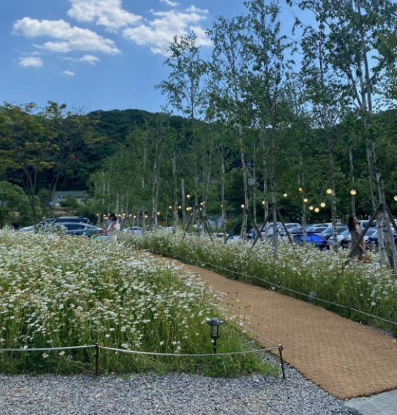 당일치기꽃여행