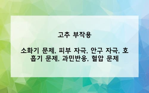 고추 부작용 사진