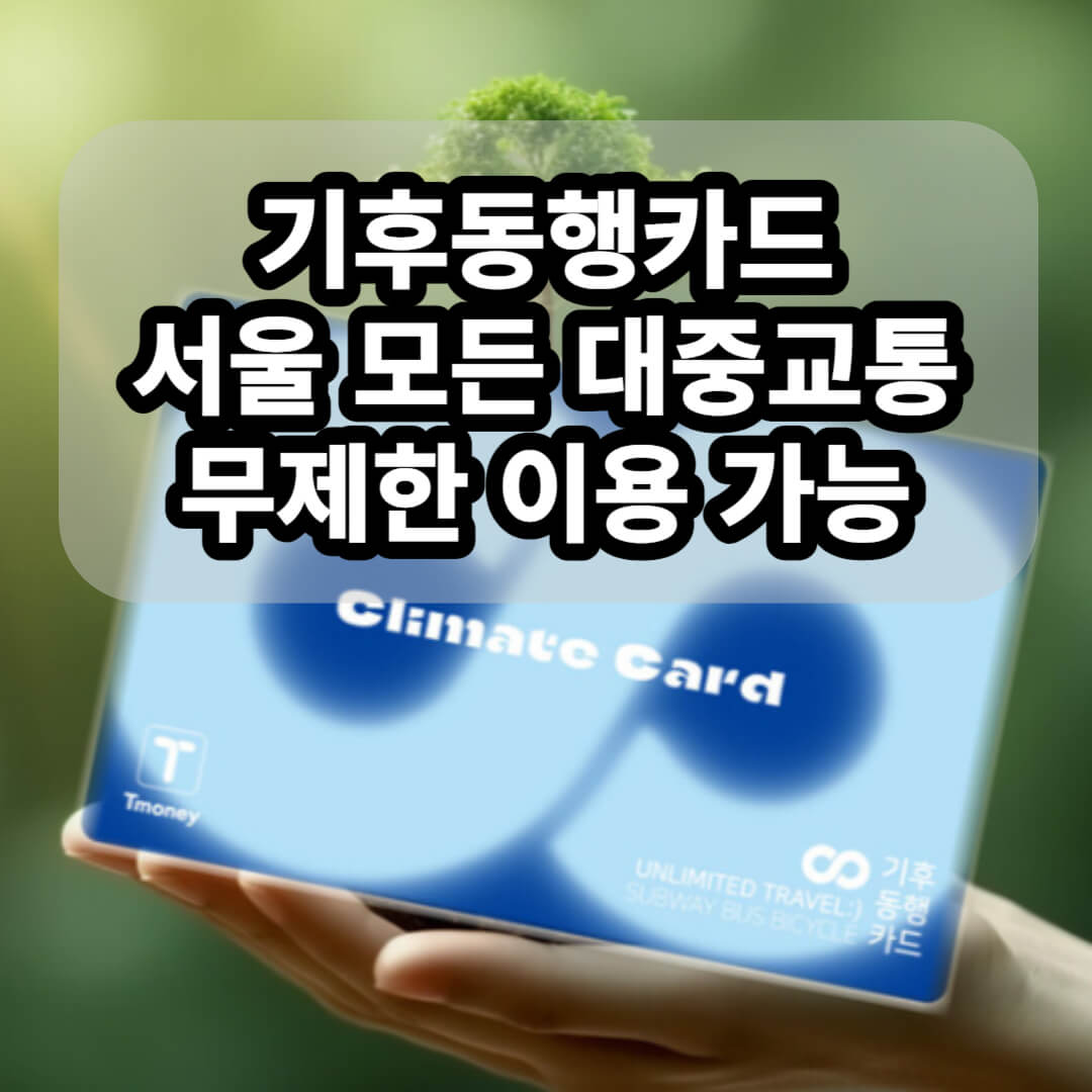 기후동행카드