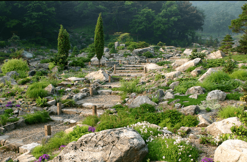 숲속 산책로와 핑크뮬리 정원 전경