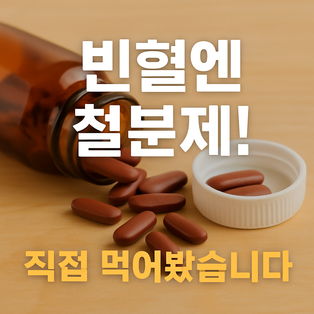 철분 영양제 추천