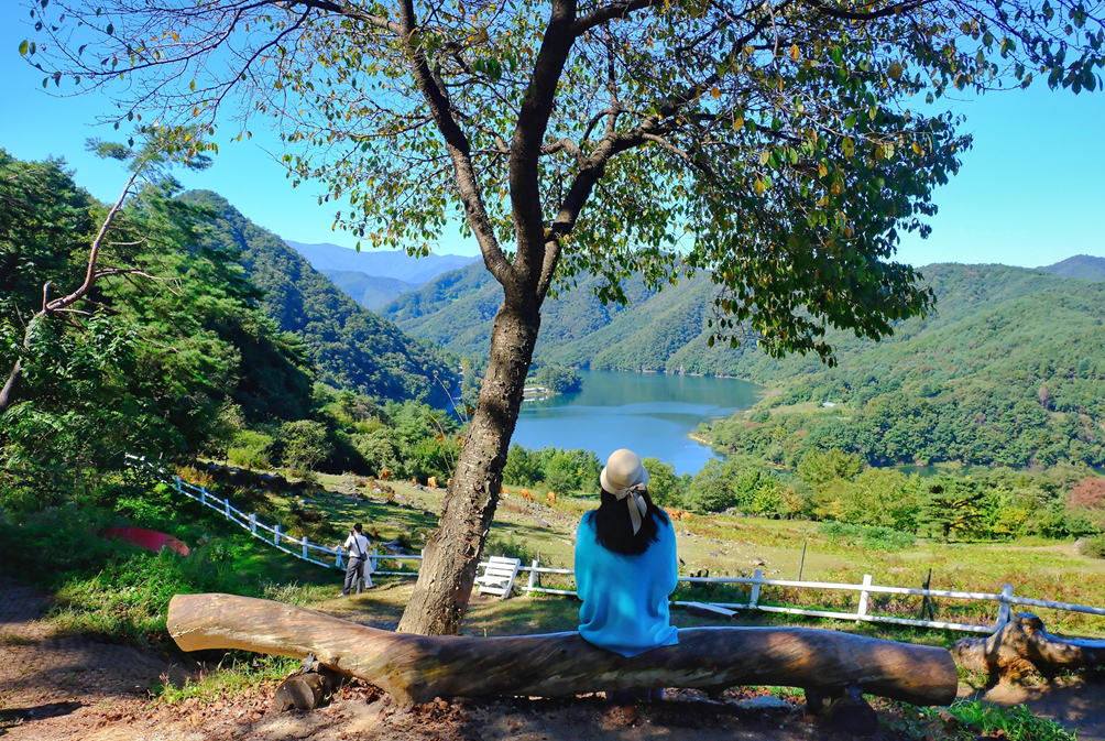 해피초원목장 풍경