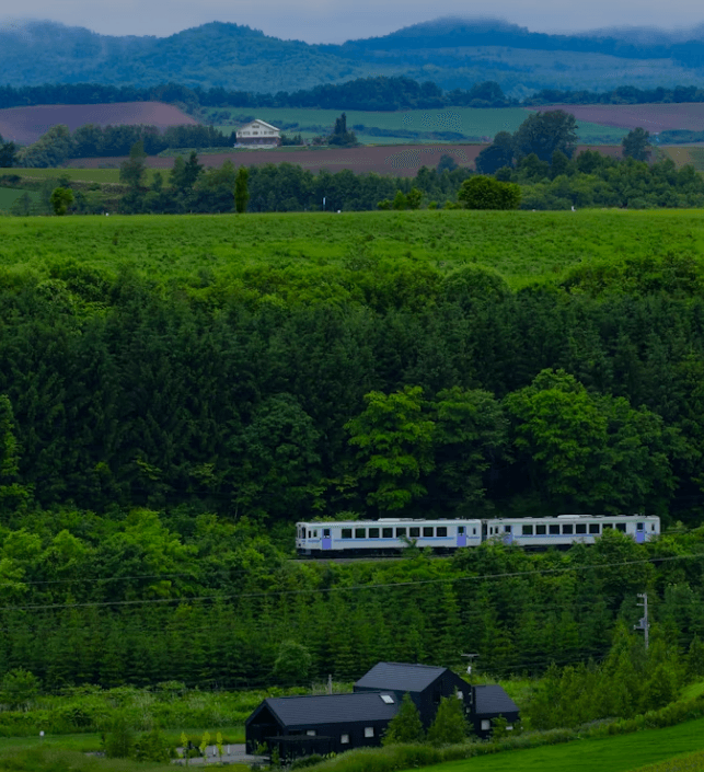 홋카이도 후라노&middot;비에이 렌터카 vs 투어! 핵심 1일 코스