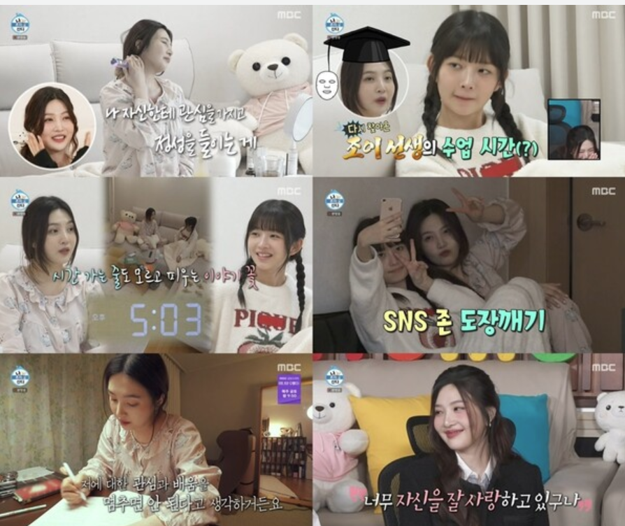 레드벨벳 조이의 홈케어 루틴 공개! (나혼산 조이 고주파 부황)