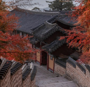 부처님오신날유명사찰