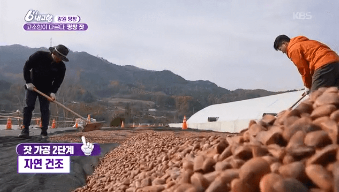 [6시내고향]강원도 평창 고급 잣 &amp;#39;평창잣농원 영농조합법인&amp;#39; 택배 배송 연락처 정보 